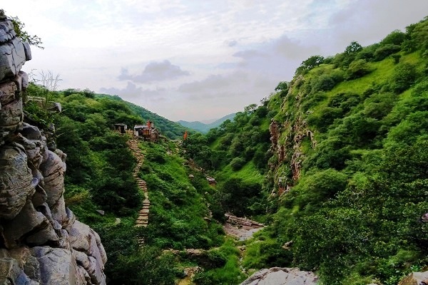 Before deforestation